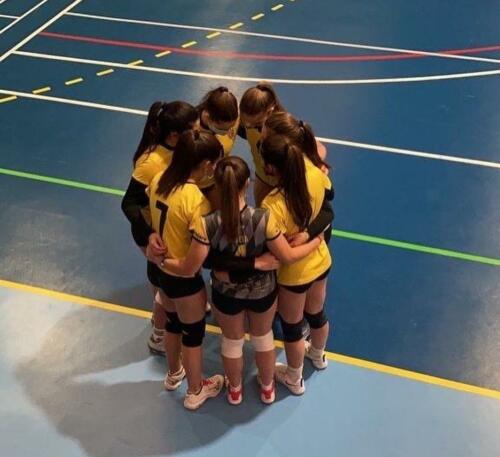 senior voley grupo